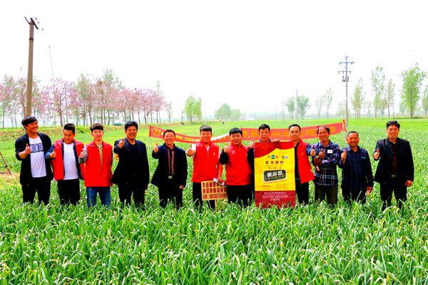 河南睢縣大蒜觀摩會農(nóng)化團(tuán)隊(duì)
